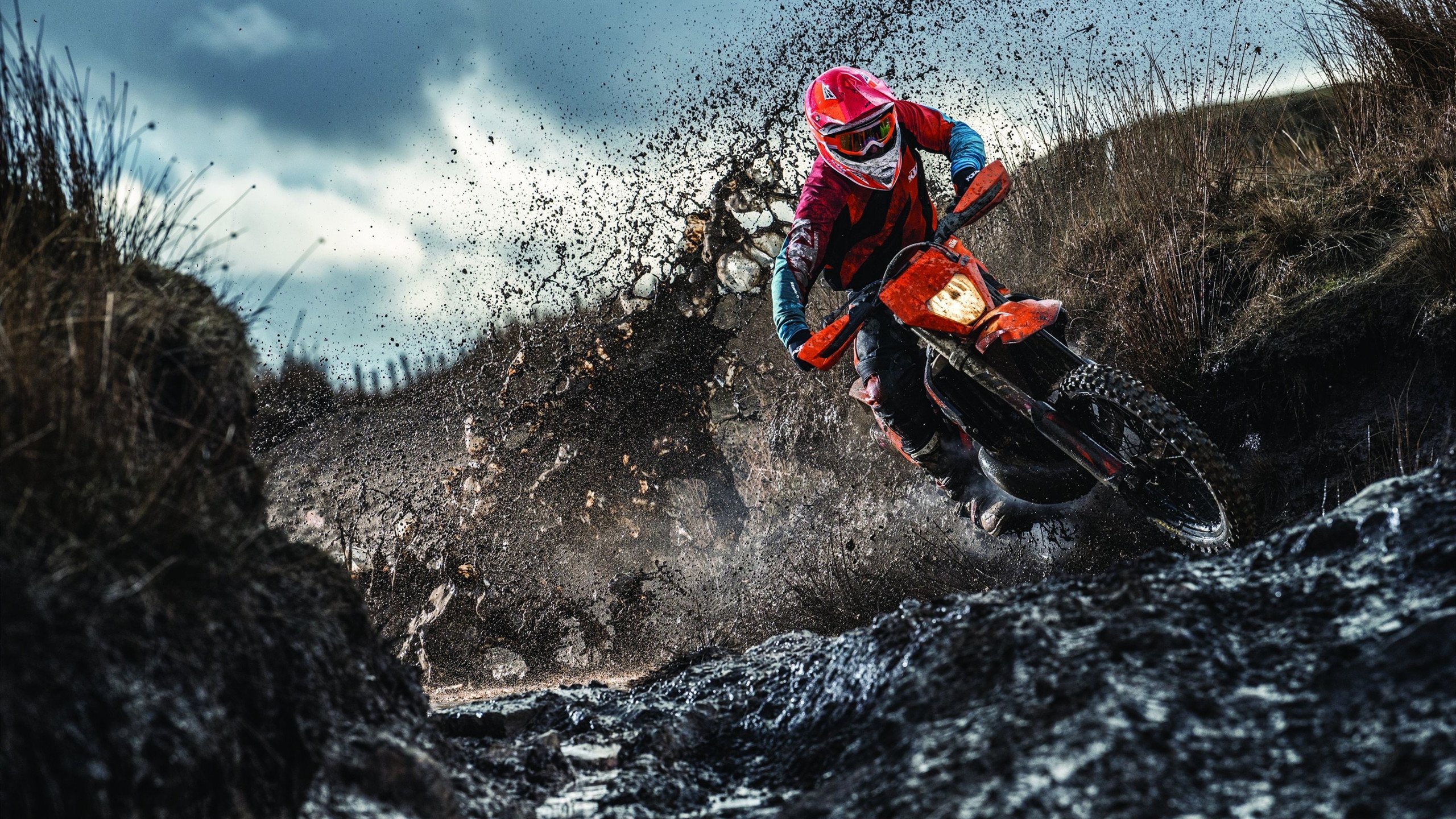 “黑马崛起！联盟中最令人意想不到的逆袭队伍”，lol黑马